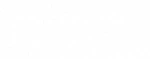 Compleo Layout Logo White